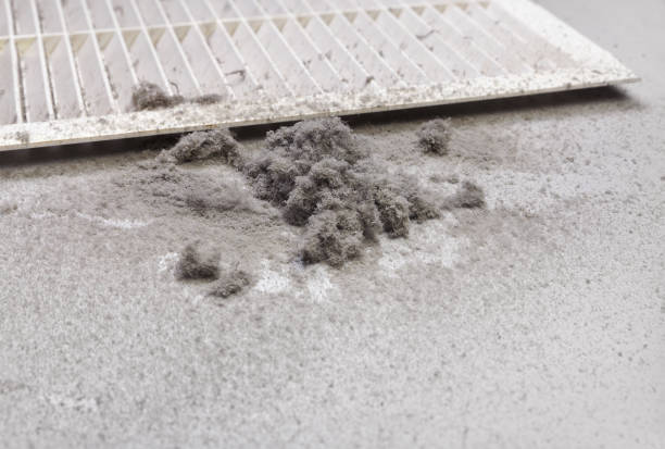 Best Air Duct Cleaning Near Me  in Rhinelander, WI